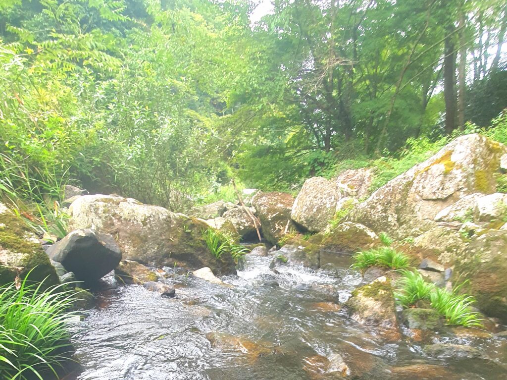 【岡山県加賀郡吉備中央町】鳴滝森林公園（なるたきしんりんこうえん）