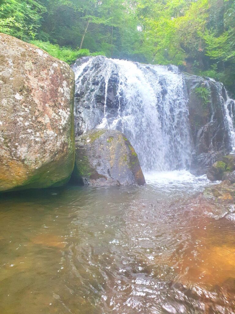 【岡山県加賀郡吉備中央町】鳴滝森林公園（なるたきしんりんこうえん）