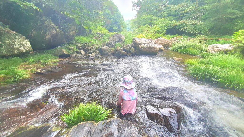 【岡山県加賀郡吉備中央町】鳴滝森林公園（なるたきしんりんこうえん）