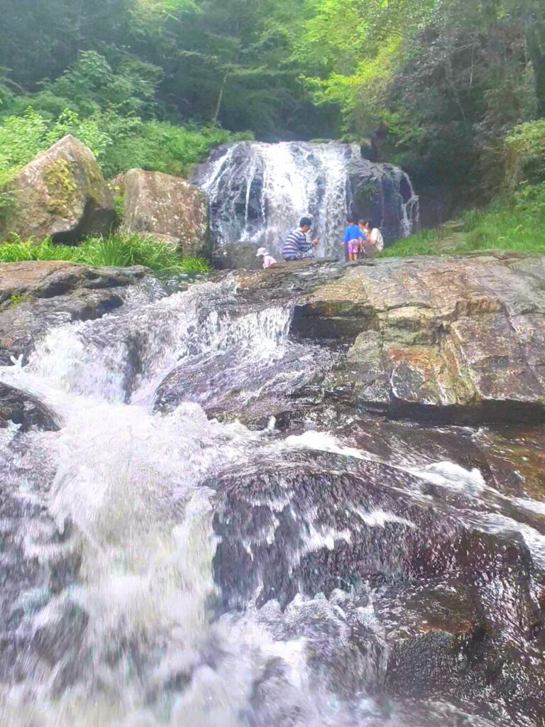 【岡山県加賀郡吉備中央町】鳴滝森林公園（なるたきしんりんこうえん）