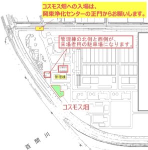 【岡山県岡山市東区】岡東浄化センター秋桜畑（こうとうじょうかセンターコスモスばたけ）