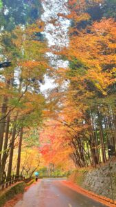 【岡山県苫田郡鏡野町紅葉狩り】奥津渓/奥津温泉足湯（おくつけい/おくつおんせんあしゆ）