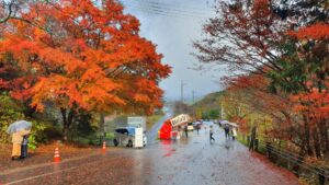 【岡山県苫田郡鏡野町紅葉狩り】奥津渓/奥津温泉足湯（おくつけい/おくつおんせんあしゆ）