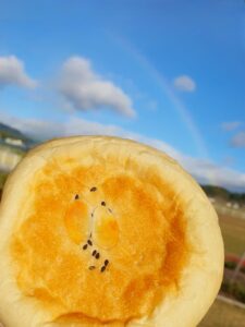 【岡山県久米郡美咲町和菓子&パン屋カフェ】昭和堂deぱん（しょうわどうでぱん）