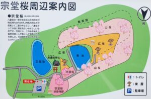 【岡山県岡山市東区お花見】妙泉寺跡宗堂桜(みょうせんじあとそうどうざくら)