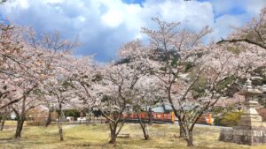 【岡山県和気郡和気町お花見】藤公園(ふじこうえん)/和気神社(わけじんじゃ)/芳嵐園(ほうらんえん)