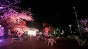 【岡山県井原市お花見/水遊び】井原堤(いばらづつみ)/桜橋公園(さくらばしこうえん)