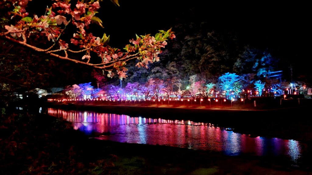 【岡山県井原市お花見/水遊び】井原堤(いばらづつみ)/桜橋公園(さくらばしこうえん)