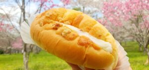 【岡山県高梁市パン屋カフェ】PAIN DE MIE(パンドミ)