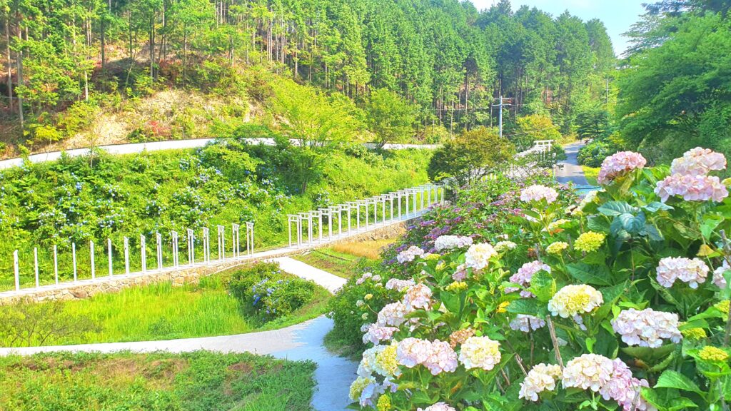 【岡山県新見市パワースポット観光名所】済渡寺(さいどうじ)【白い千本鳥居/紫陽花/千と千尋の神隠し】