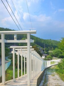 【岡山県新見市パワースポット観光名所】済渡寺(さいどうじ)【白い千本鳥居/紫陽花/千と千尋の神隠し】