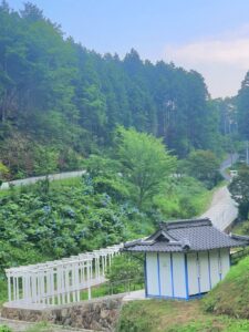 【岡山県新見市パワースポット観光名所】済渡寺(さいどうじ)【白い千本鳥居/紫陽花/千と千尋の神隠し】