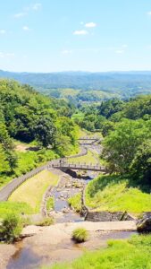 【岡山県勝田郡奈義町】山野草公園/那岐山麓 山の駅（さんやそうこうえん/なぎさんろくやまのえき）【水遊び/コテージ宿泊】