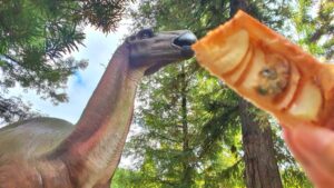 【岡山県笠岡市パン屋カフェ】BAKE MAGIC(ベイクマジック)