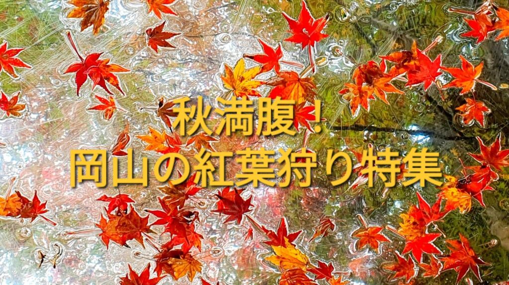 【岡山県】特集（パンと公園）
