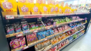 【岡山県美作市湯郷温泉】湯郷駄菓子館/無料室内キッズスペース/カラオケ(ゆのごうだがしかん)