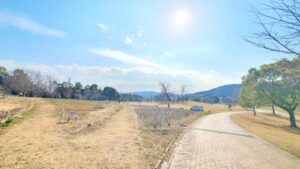 【岡山県津山市公園】グリーンヒルズ津山トリムの森（ぐりーんひるずつやまとりむのもり）