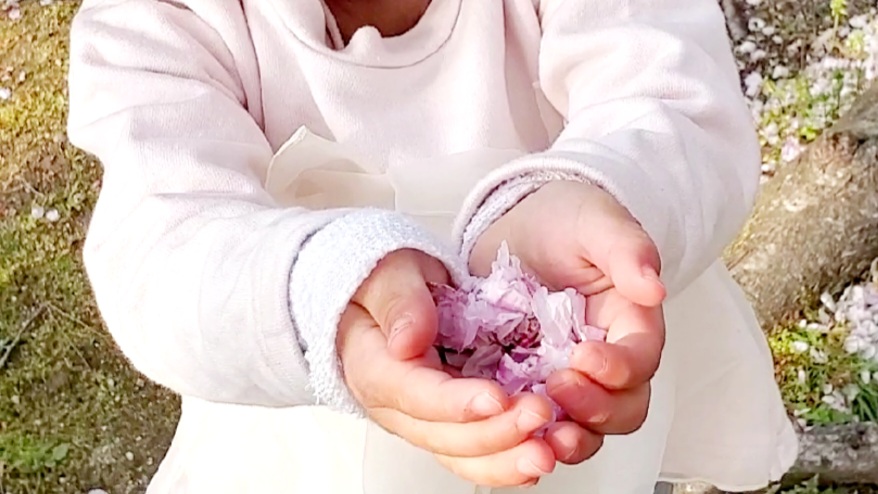 【エプスタイン擁護?】私が公園でパンを食べる理由【神をも冒涜?】