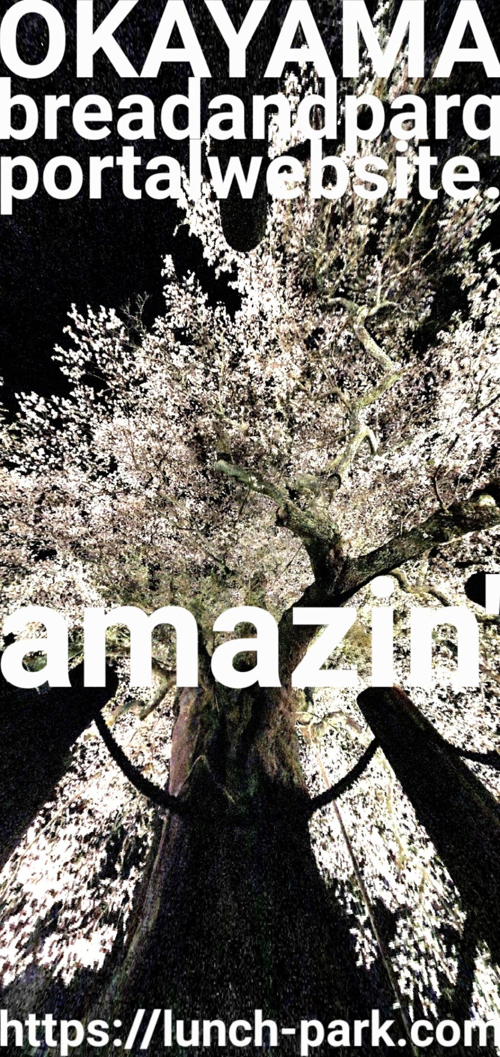 Lunch Park -OKAYAMA bread&PARK portal web site.-