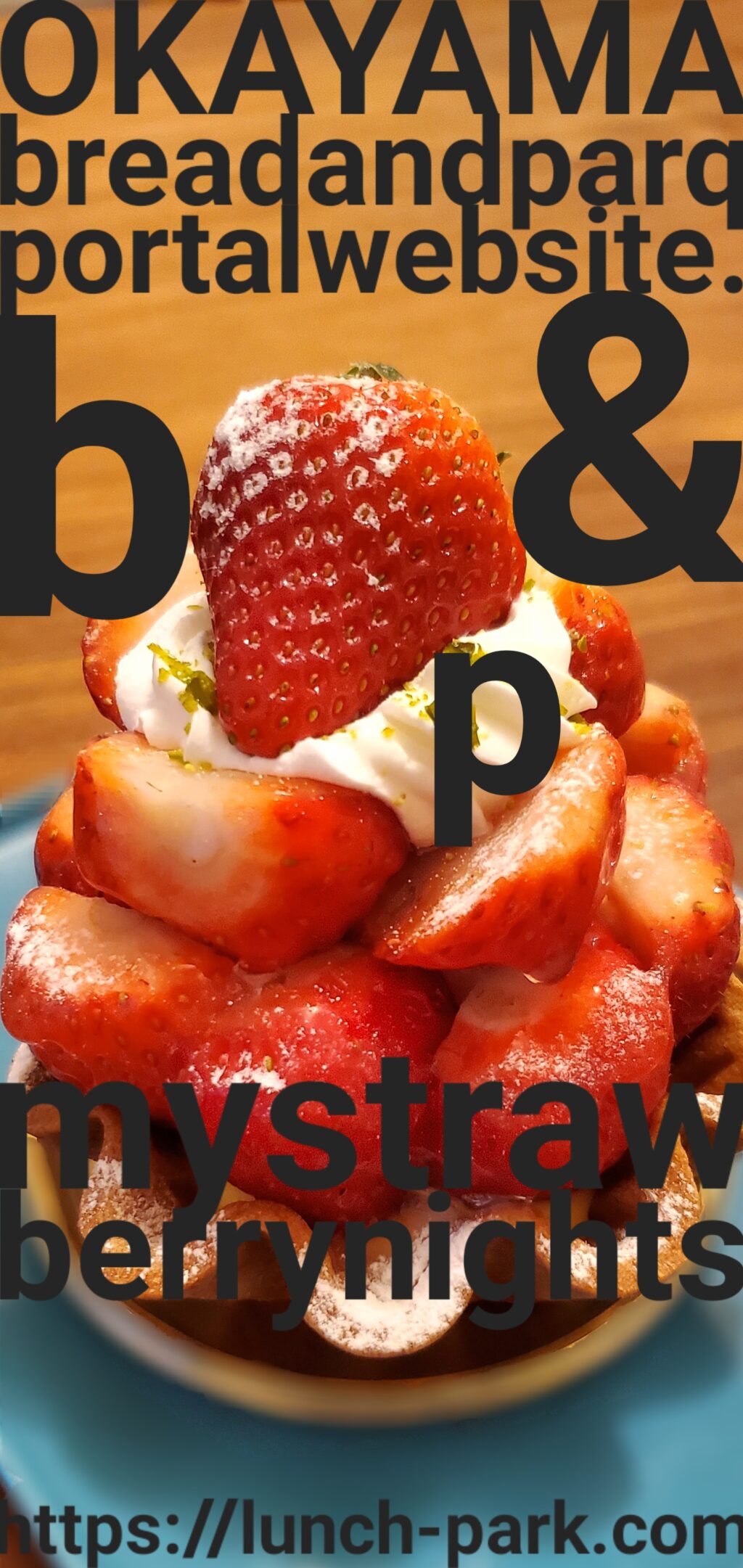 Lunch Park -OKAYAMA bread&PARK portal web site.-