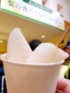 【鳥取県倉吉市遊び場】エースパックなしっこ館/二十世紀梨記念館(なしっこかん)【全天候型室内キッズスペース】